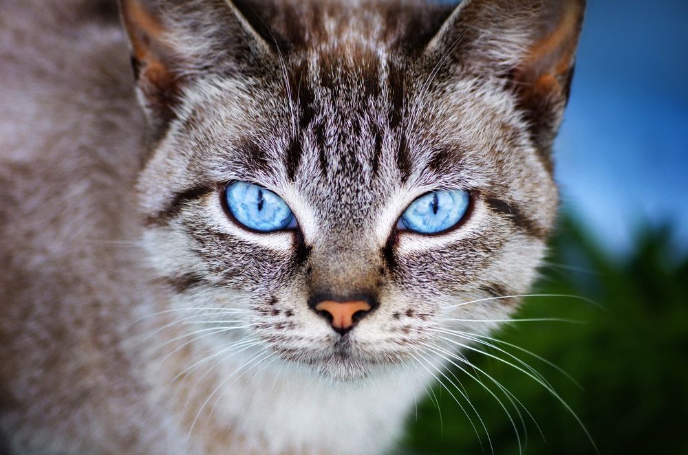 Photograph by Вероника Романенко