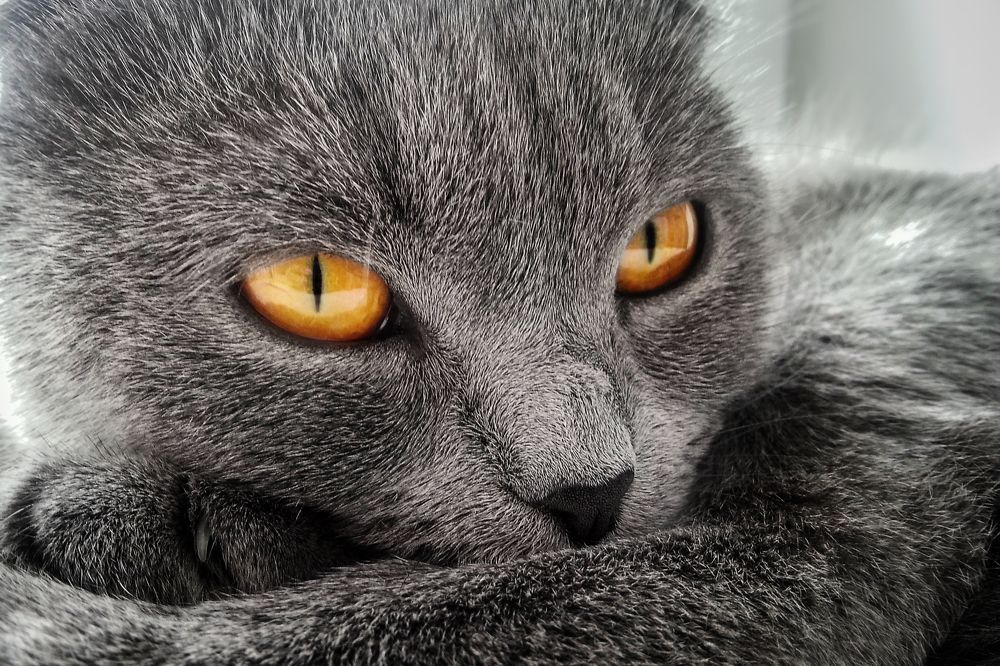 Photograph by Вероника Романенко