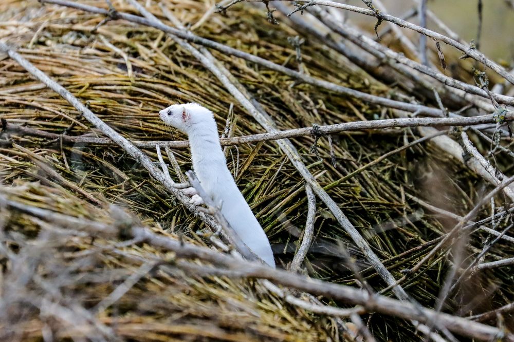 Photograph by Юлия Черкасова