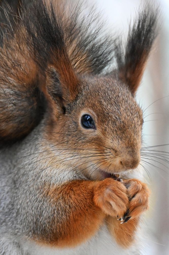 Фотография автора Ola La