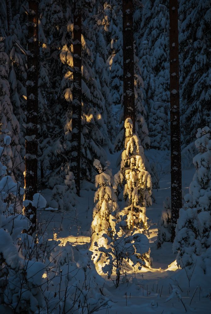 Photograph by Николай Ларионов