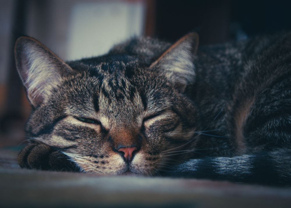 Всегда начеку