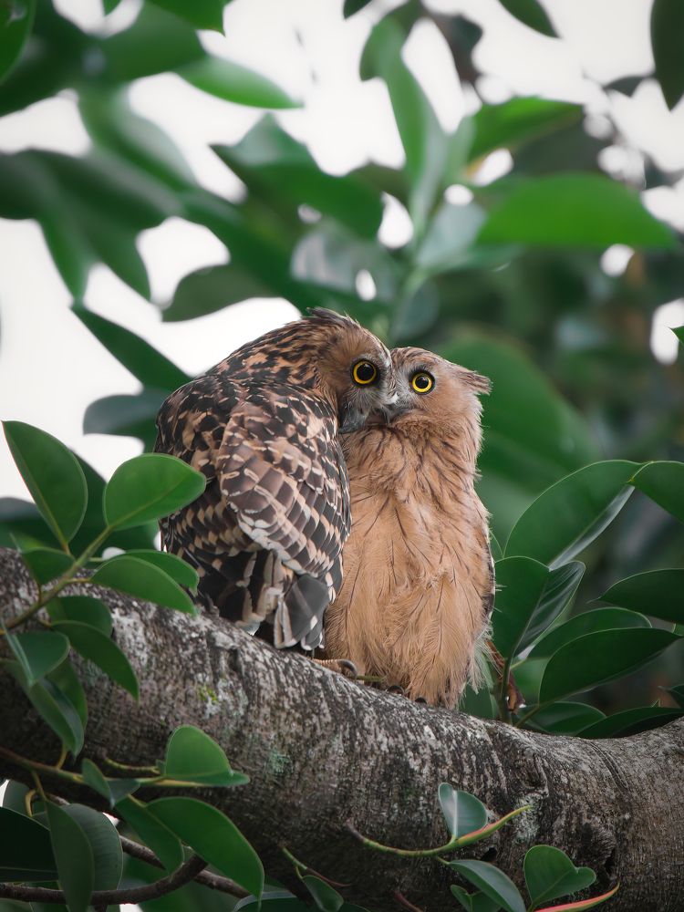 Photograph by Nithil Chakravarthy Thirumurugan