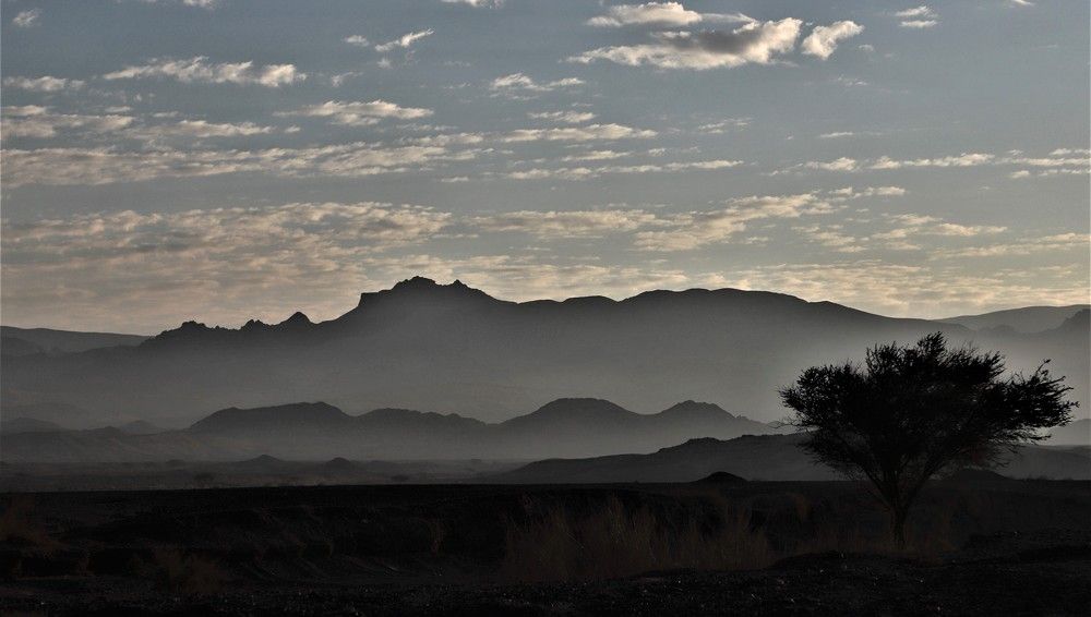 Photograph by Ramzi Nari