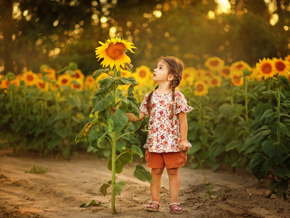 Photograph by Марина Казакова