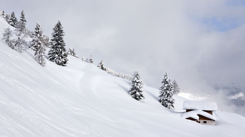 Photograph by Владимир Остапенко