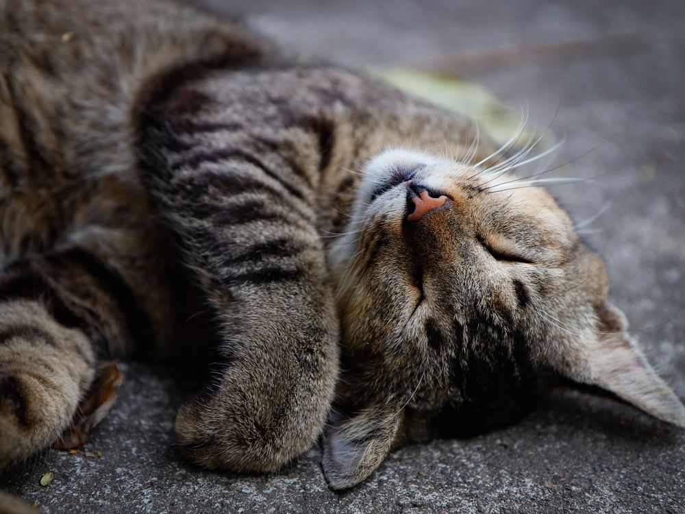 Photograph by Екатерина Слепнева