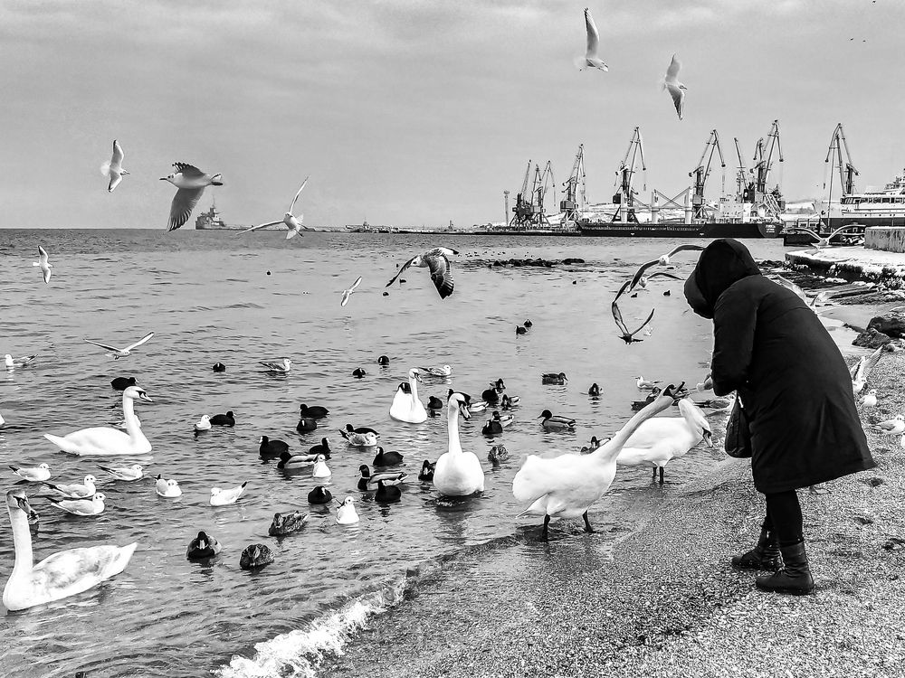 Photograph by Анатолий Мигов