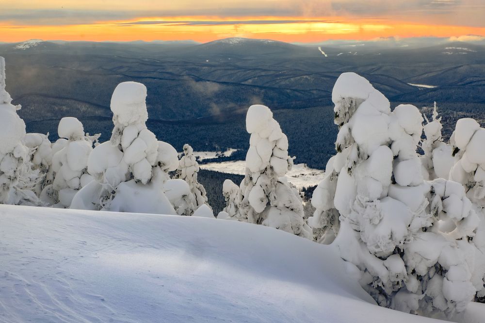 Природа под снегом.