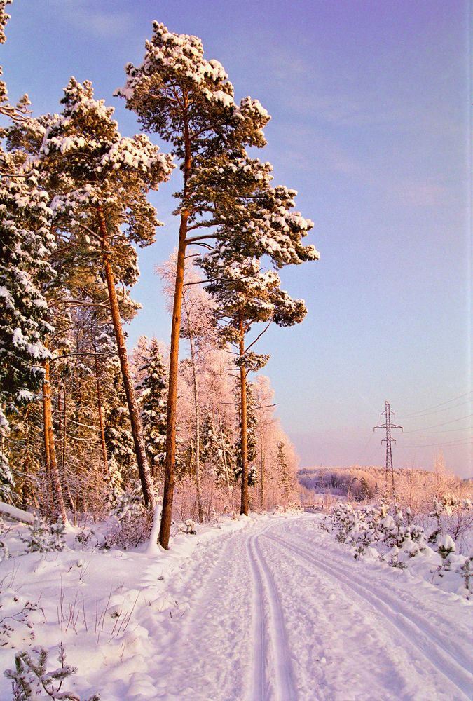 На зимней дороге