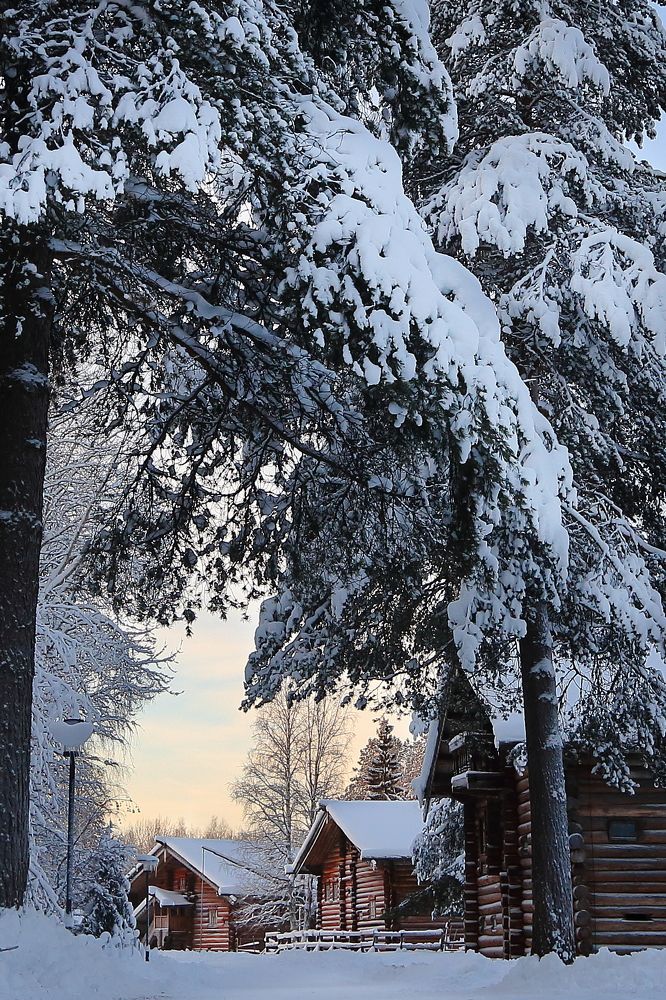 Photograph by Наталья Загайнова