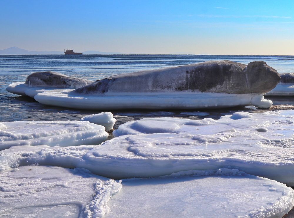 Photograph by Сергей Выржиковский