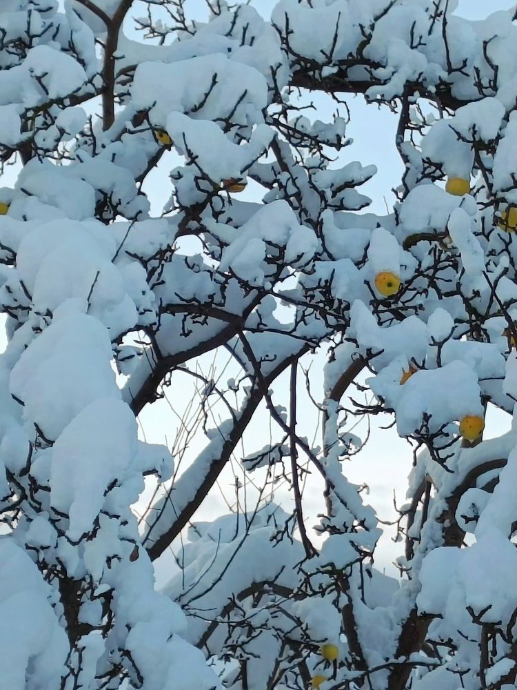 Photograph by Павел Савин