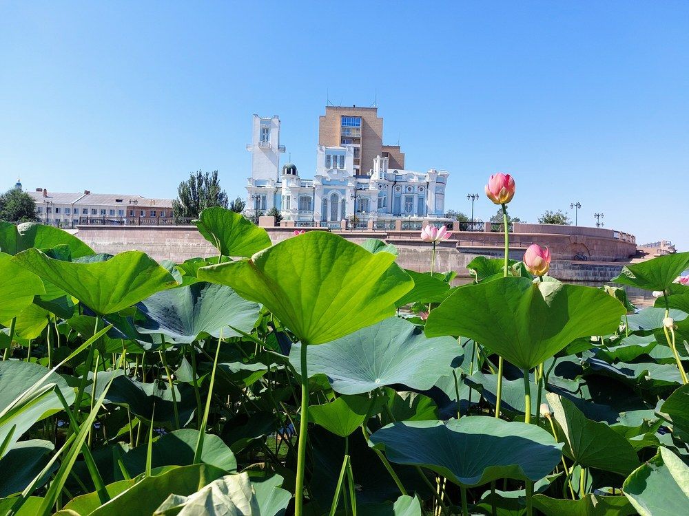 Photograph by Нина Паршина