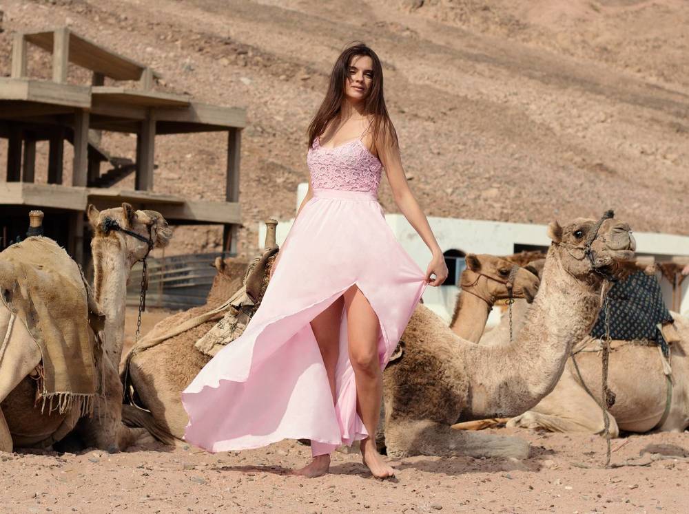 Египетский караван