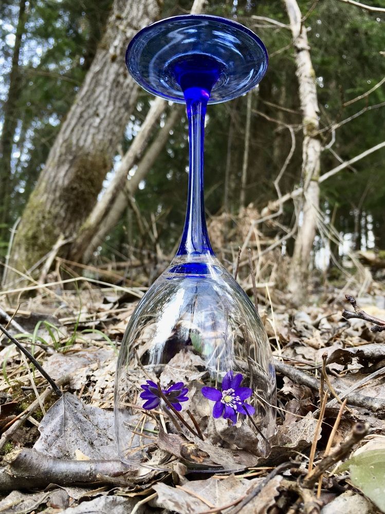 Photograph by Светлана Маримонова