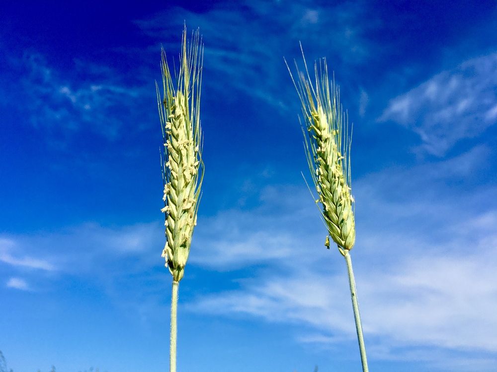 Photograph by Светлана Маримонова