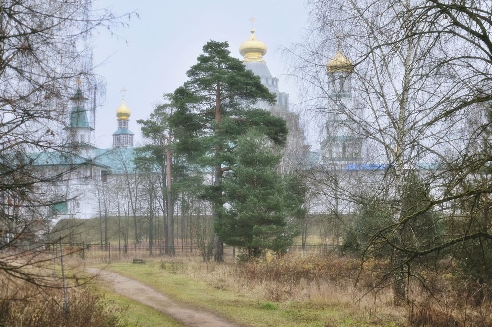 Дождливый день