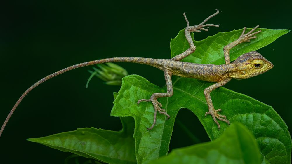 Photograph by Ngọc Trần