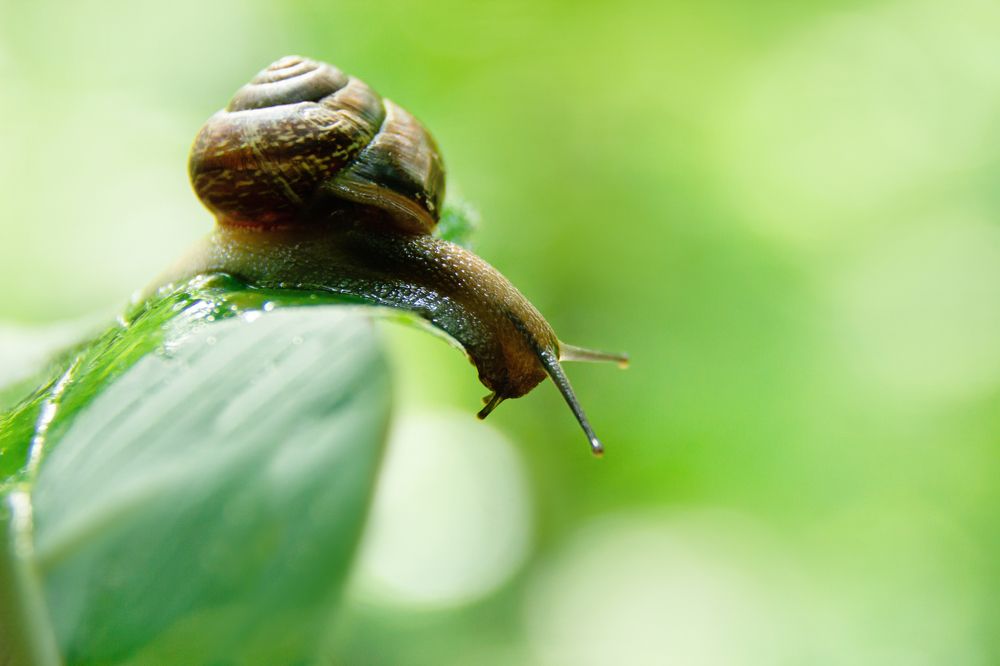 Photograph by Татьяна Степанова