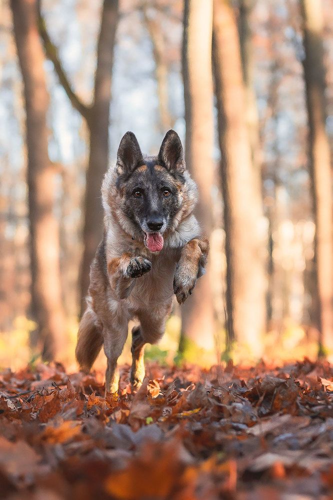 Photograph by Елизавета Романова