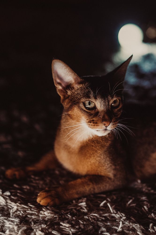 Photograph by Наталья Сиротина