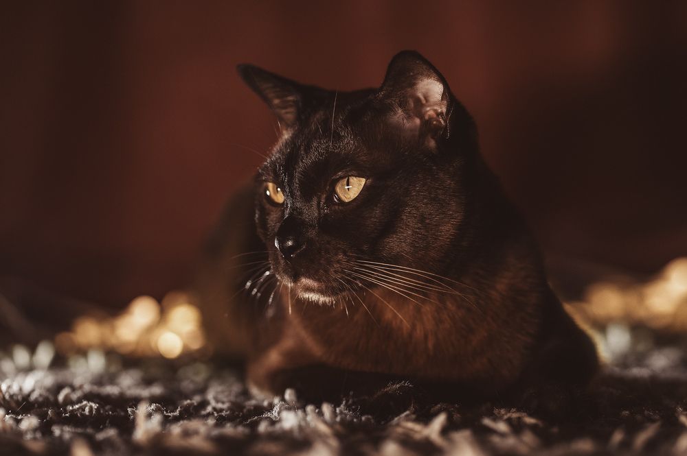 Photograph by Наталья Сиротина