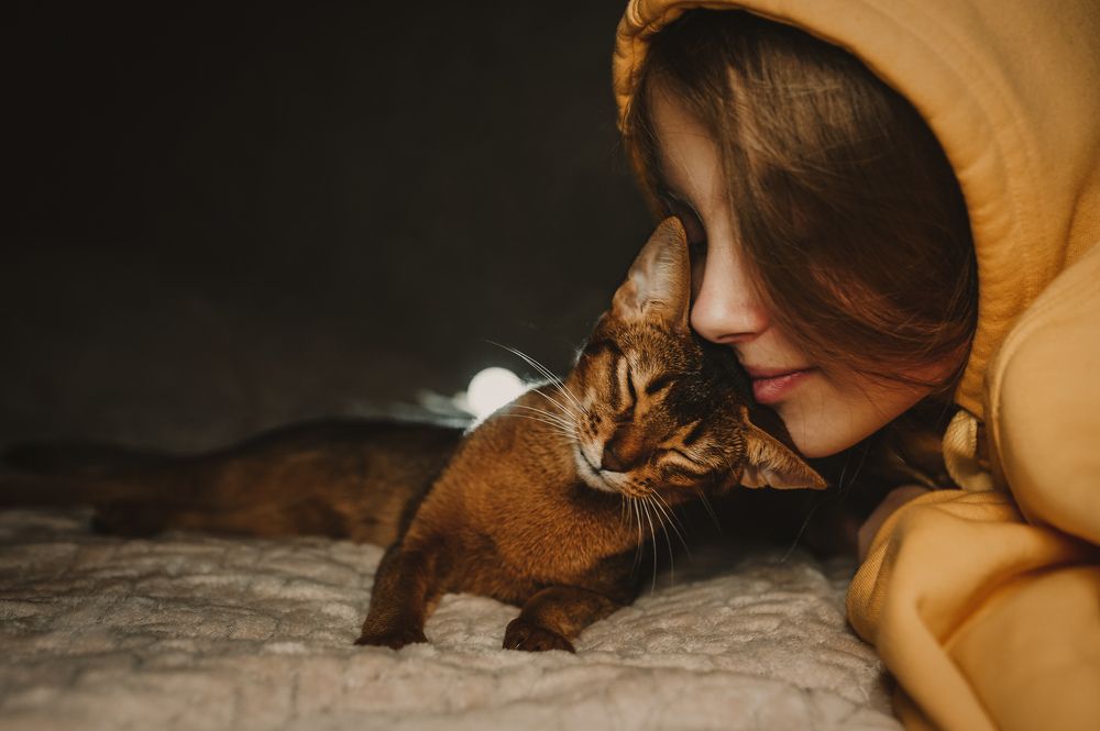 Photograph by Наталья Сиротина