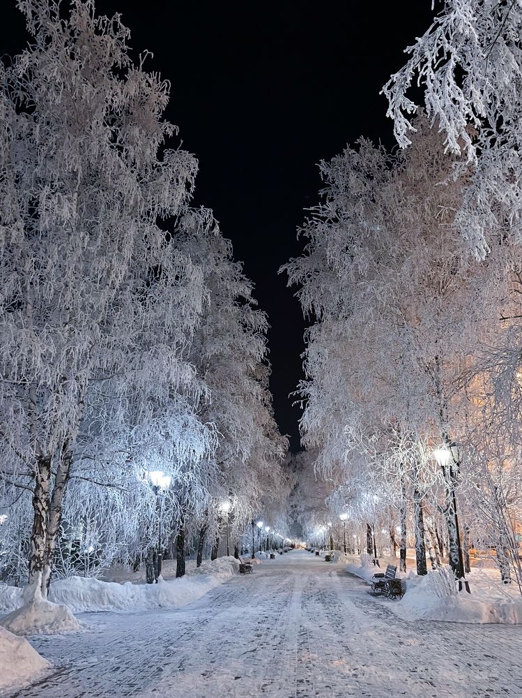 Photograph by Диана Ширшова