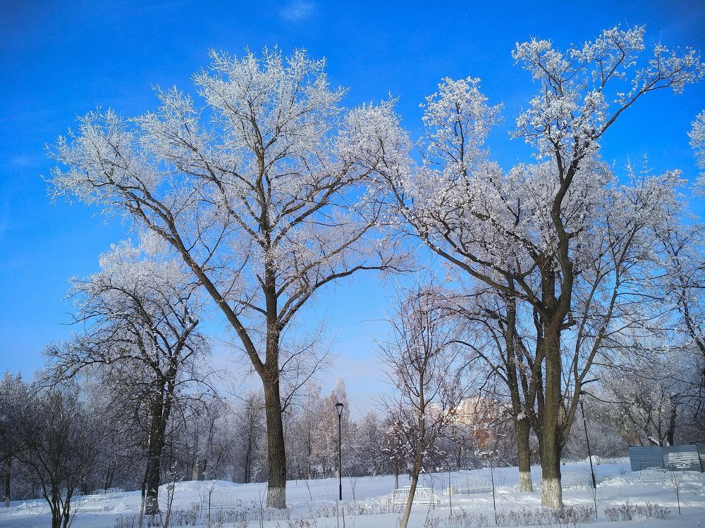 Photograph by Анатолий Хальман