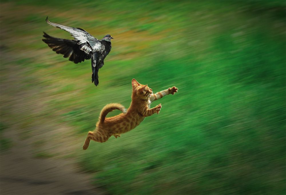 Photograph by Natali Bol