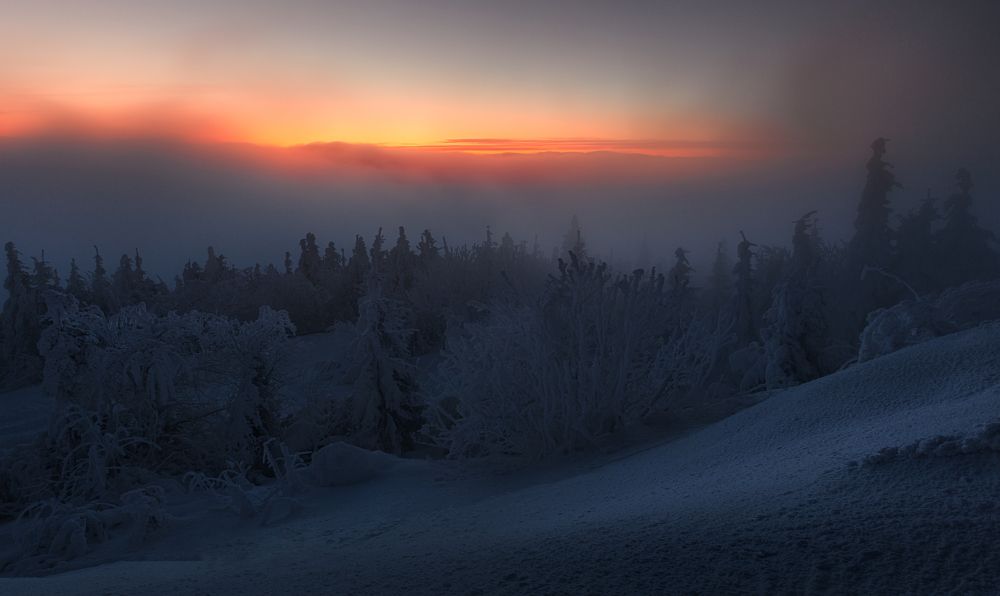 Фотография автора Adam Nedojedlý