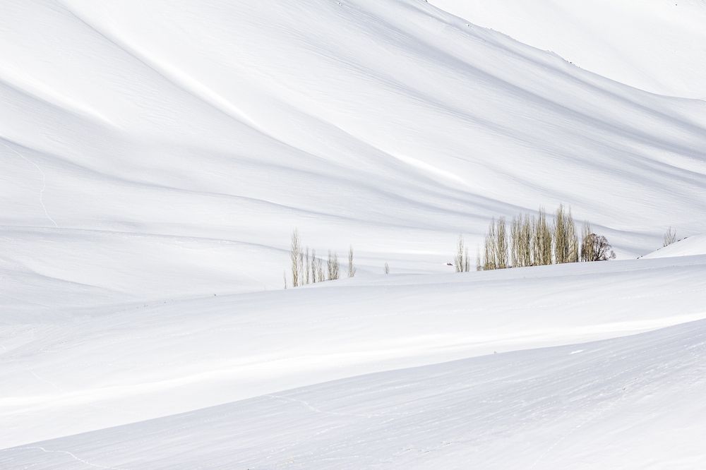 Photograph by behzad homayouninejad