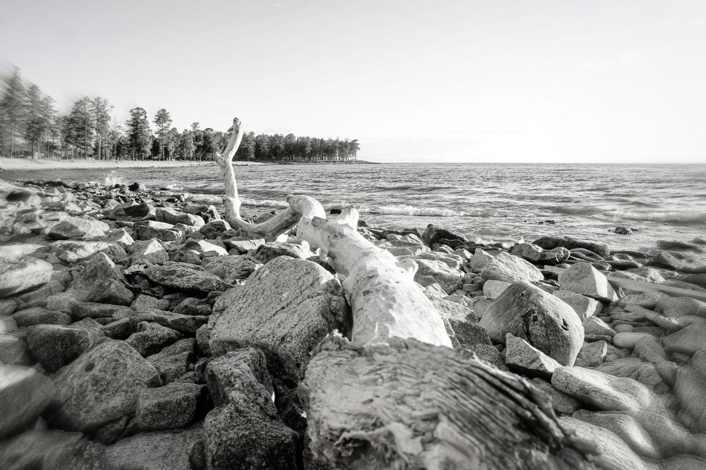 Photograph by Светлана Шелухеева