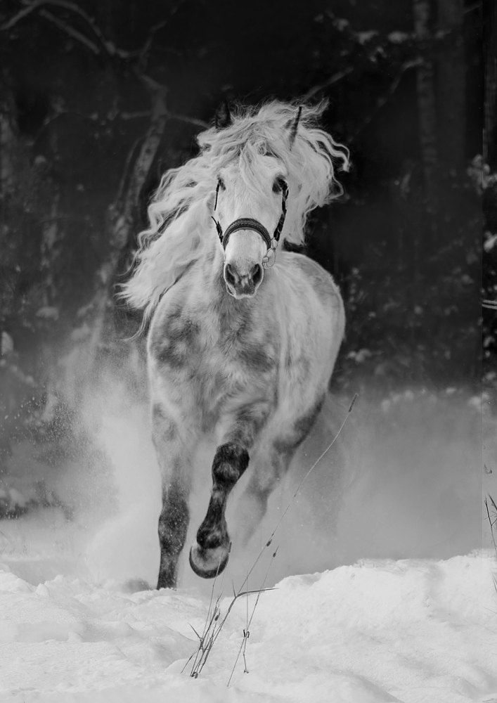 Photograph by Любовь Похабова