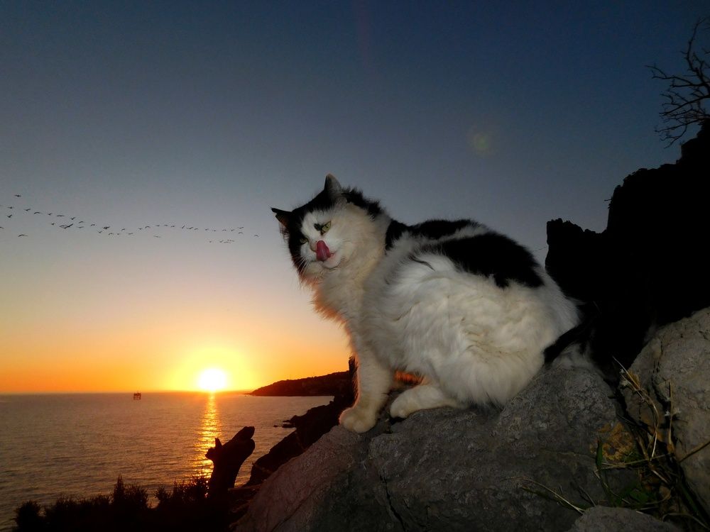 Photograph by Илья Мусик