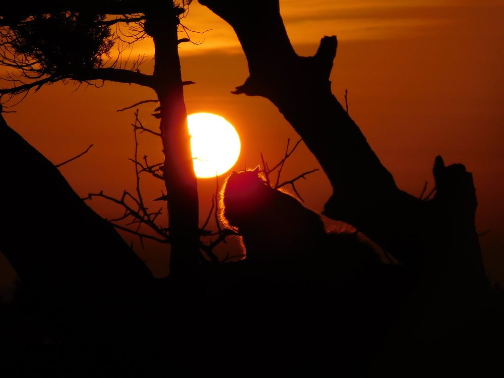 Photograph by Илья Мусик