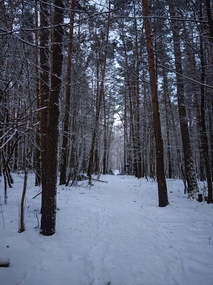 Photograph by Влад Барышов