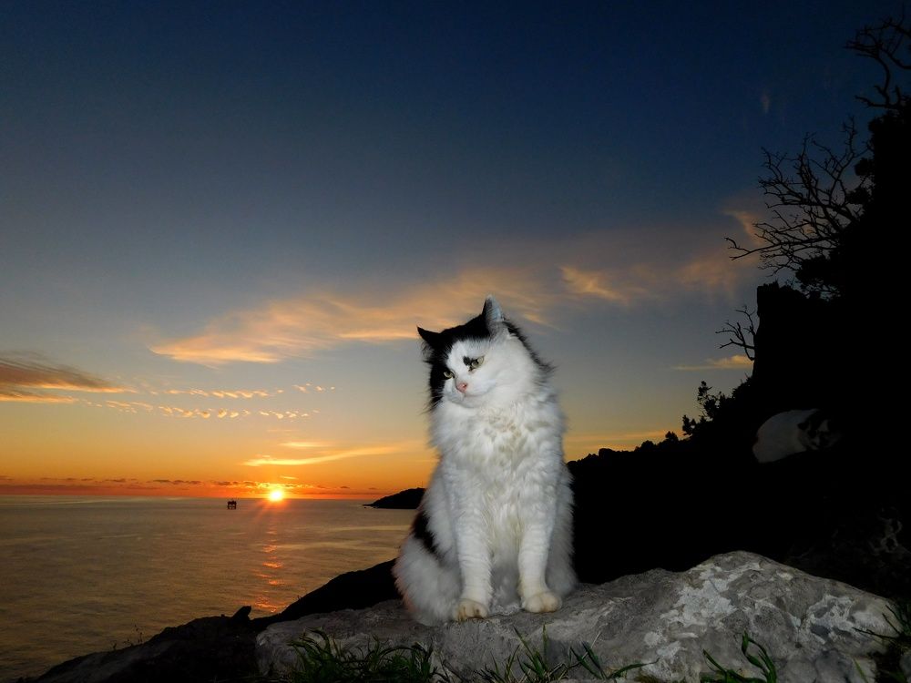 Photograph by Илья Мусик