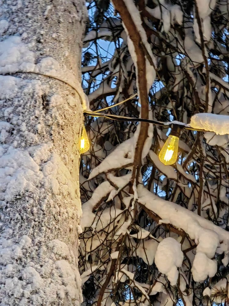 Photograph by Юлия Арестова