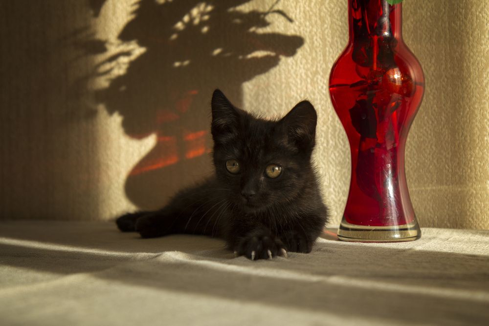 Photograph by Виктория Суркова