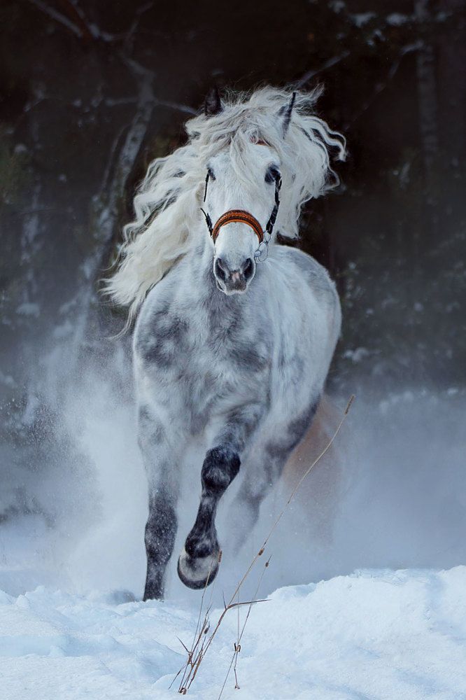 Photograph by Любовь Похабова