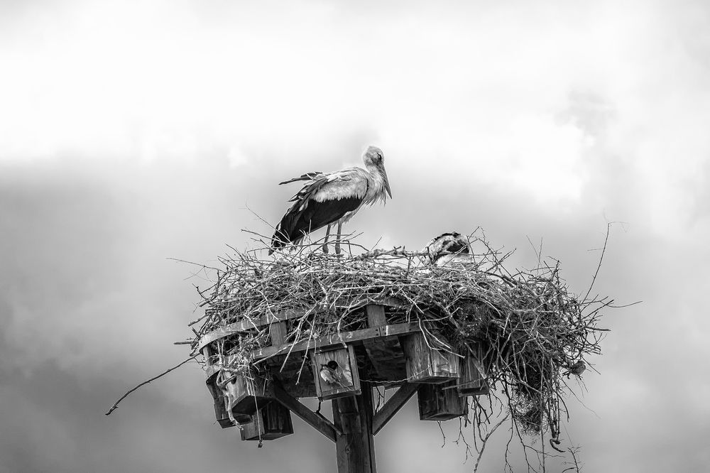 Фотография автора Aylin Turnator