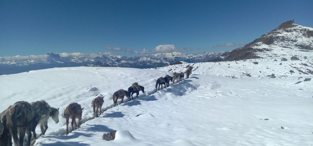 The journey of life.