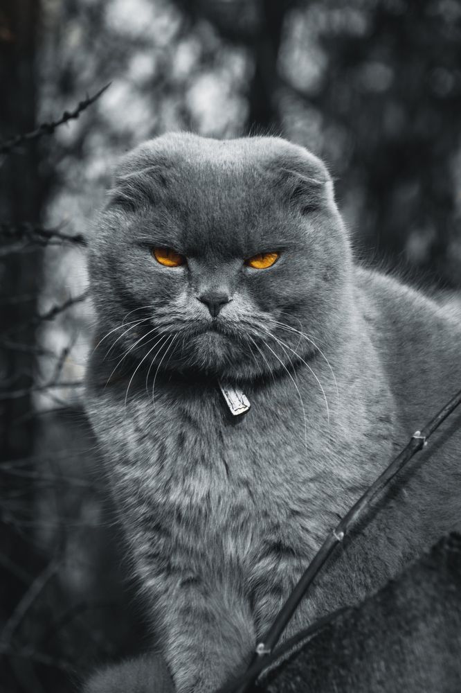 Photograph by Максим Пономарев