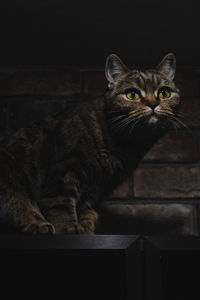 Photograph by Soul Siberia