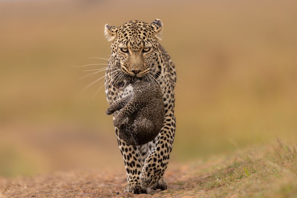 The STRONGEST of all- MOTHER!