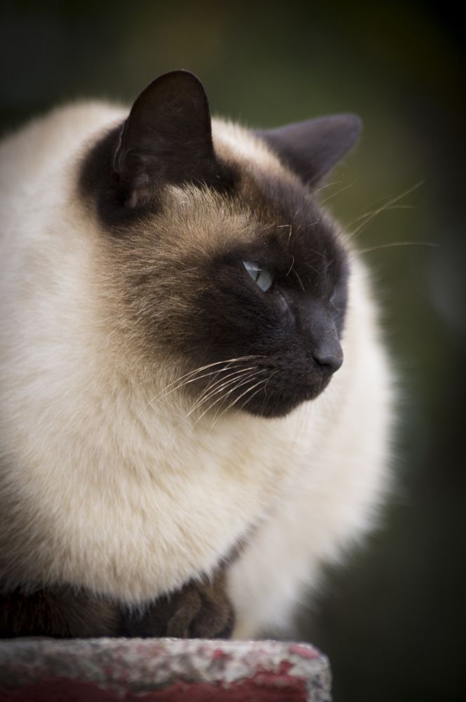 Photograph by Adaya Iglesias