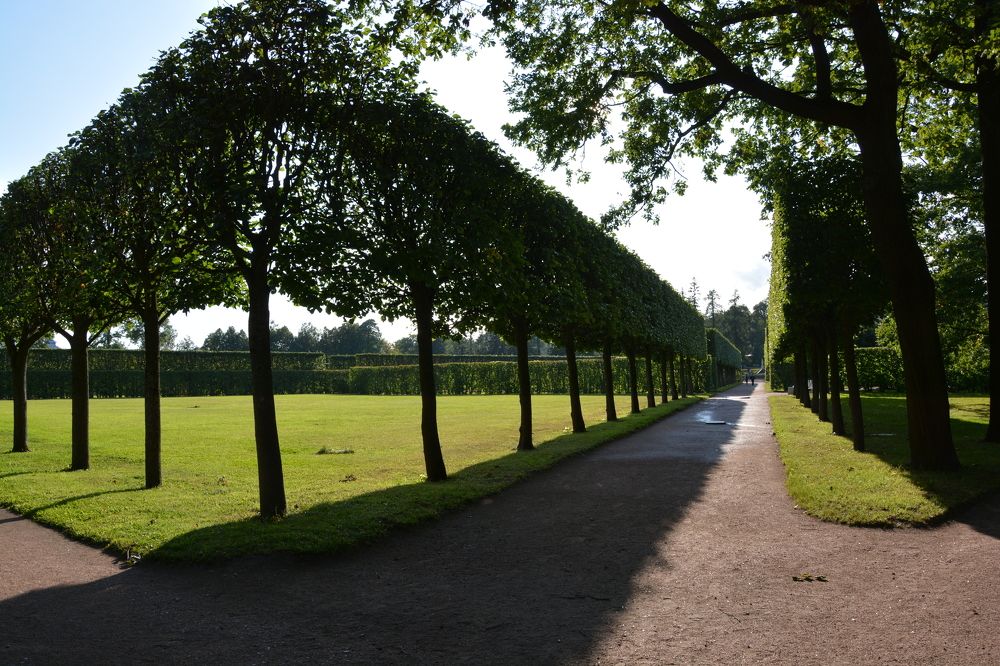 Photograph by Елена Вершинина