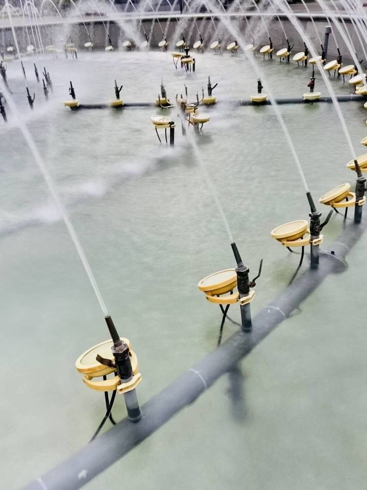 Photograph by Марина Толстопятова